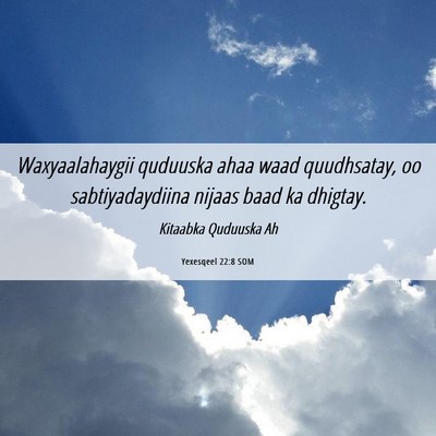 Picture 06 - Yexesqeel 22:8 SOM - Waxyaalahaygii quduuska ahaa waad quudhsatay, oo - Bible Verse Picture