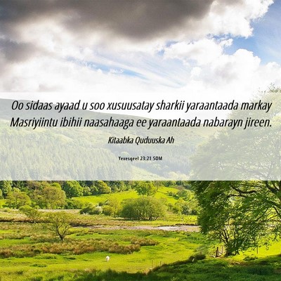 Picture 06 - Yexesqeel 23:21 SOM - Oo sidaas ayaad u soo xusuusatay sharkii - Bible Verse Picture