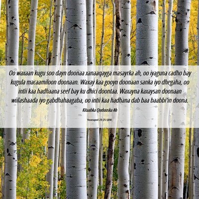 Picture 06 - Yexesqeel 23:25 SOM - Oo waxaan kugu soo dayn doonaa xanaaqayga - Bible Verse Picture