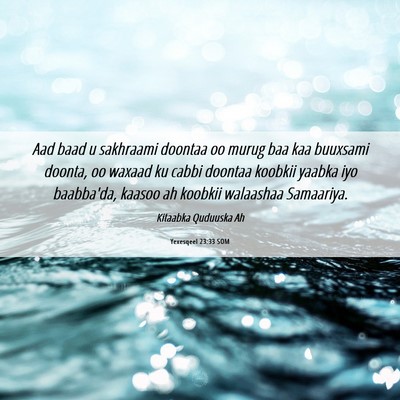 Picture 06 - Yexesqeel 23:33 SOM - Aad baad u sakhraami doontaa oo murug baa kaa - Bible Verse Picture