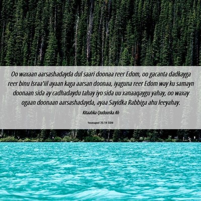 Picture 06 - Yexesqeel 25:14 SOM - Oo waxaan aarsashadayda dul saari doonaa reer - Bible Verse Picture