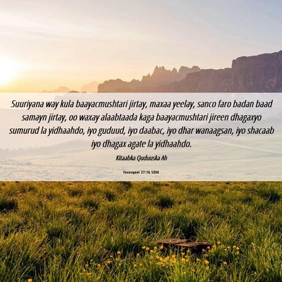 Picture 06 - Yexesqeel 27:16 SOM - Suuriyana way kula baayacmushtari jirtay, maxaa - Bible Verse Picture