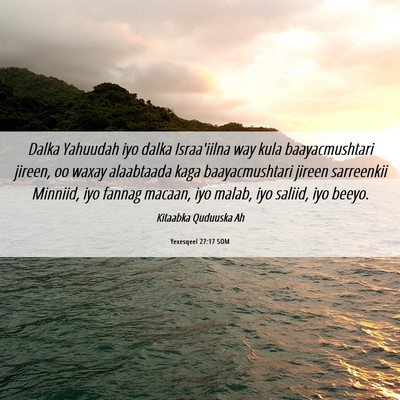 Picture 06 - Yexesqeel 27:17 SOM - Dalka Yahuudah iyo dalka Israa'iilna way kula - Bible Verse Picture