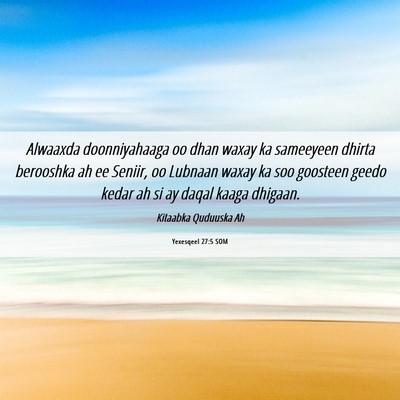 Picture 06 - Yexesqeel 27:5 SOM - Alwaaxda doonniyahaaga oo dhan waxay ka sameeyeen - Bible Verse Picture