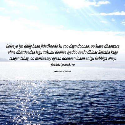 Picture 06 - Yexesqeel 28:23 SOM - Belaayo iyo dhiig baan jidadkeeda ku soo dayn - Bible Verse Picture
