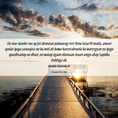 Picture 06 - Yexesqeel 28:24 SOM - Oo mar dambe ma ay jiri doonaan yamaarug reer - Bible Verse Picture