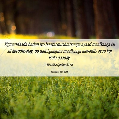 Picture 06 - Yexesqeel 28:5 SOM - Xigmaddaada badan iyo baayacmushtarkaaga ayaad - Bible Verse Picture