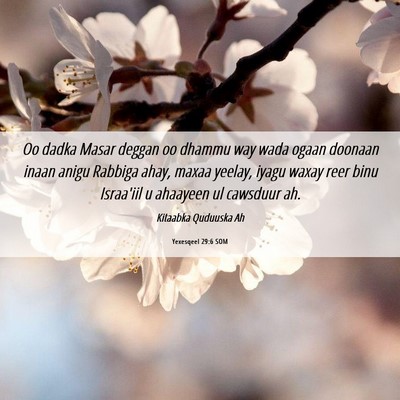 Picture 06 - Yexesqeel 29:6 SOM - Oo dadka Masar deggan oo dhammu way wada ogaan - Bible Verse Picture