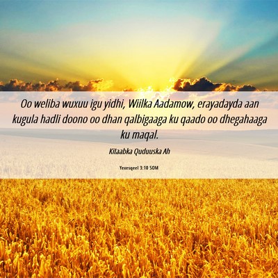Picture 06 - Yexesqeel 3:10 SOM - Oo weliba wuxuu igu yidhi, Wiilka Aadamow, - Bible Verse Picture