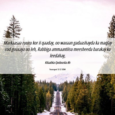 Picture 06 - Yexesqeel 3:12 SOM - Markaasaa ruuxu kor ii qaaday, oo waxaan - Bible Verse Picture
