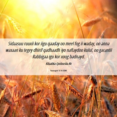Picture 06 - Yexesqeel 3:14 SOM - Sidaasuu ruuxii kor iigu qaaday oo meel fog ii - Bible Verse Picture