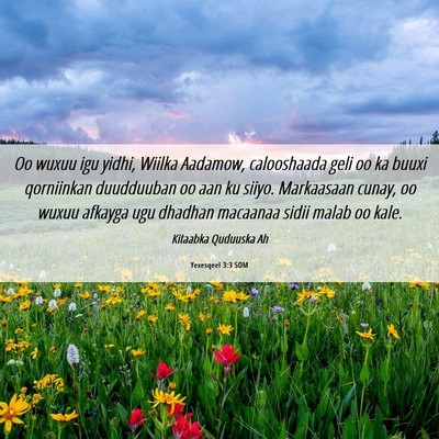 Picture 06 - Yexesqeel 3:3 SOM - Oo wuxuu igu yidhi, Wiilka Aadamow, calooshaada - Bible Verse Picture