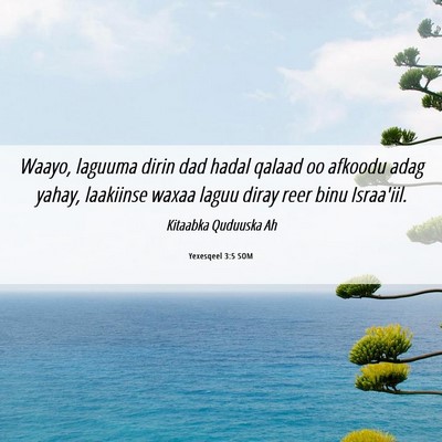 Picture 06 - Yexesqeel 3:5 SOM - Waayo, laguuma dirin dad hadal qalaad oo afkoodu - Bible Verse Picture