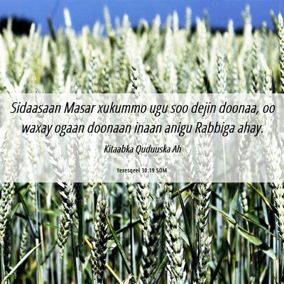 Picture 06 - Yexesqeel 30:19 SOM - Sidaasaan Masar xukummo ugu soo dejin doonaa, oo - Bible Verse Picture