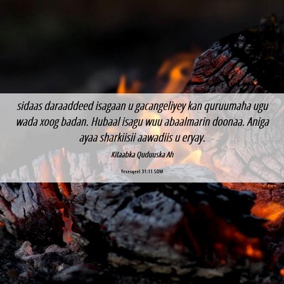 Picture 06 - Yexesqeel 31:11 SOM - sidaas daraaddeed isagaan u gacangeliyey kan - Bible Verse Picture