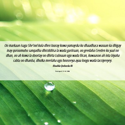 Picture 06 - Yexesqeel 31:16 SOM - Oo markaan isaga She'ool kula dhex tuuray kuwa - Bible Verse Picture
