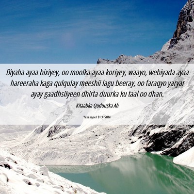 Picture 06 - Yexesqeel 31:4 SOM - Biyaha ayaa bixiyey, oo moolka ayaa koriyey, - Bible Verse Picture