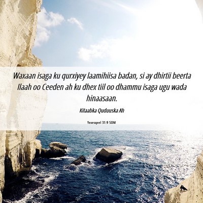 Picture 06 - Yexesqeel 31:9 SOM - Waxaan isaga ku qurxiyey laamihiisa badan, si ay - Bible Verse Picture