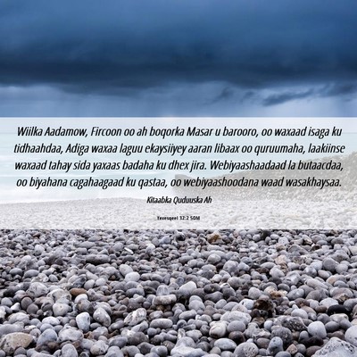 Picture 06 - Yexesqeel 32:2 SOM - Wiilka Aadamow, Fircoon oo ah boqorka Masar u - Bible Verse Picture