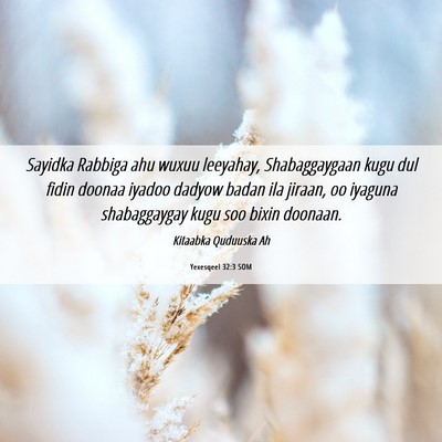 Picture 06 - Yexesqeel 32:3 SOM - Sayidka Rabbiga ahu wuxuu leeyahay, Shabaggaygaan - Bible Verse Picture