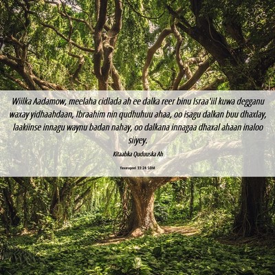 Picture 06 - Yexesqeel 33:24 SOM - Wiilka Aadamow, meelaha cidlada ah ee dalka reer - Bible Verse Picture