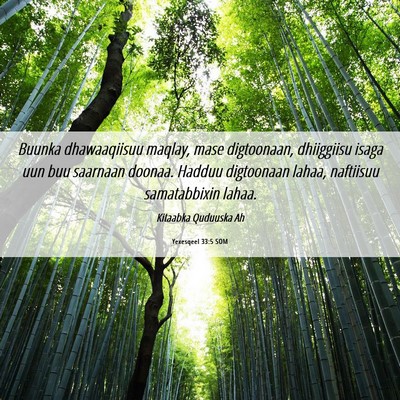 Picture 06 - Yexesqeel 33:5 SOM - Buunka dhawaaqiisuu maqlay, mase digtoonaan, - Bible Verse Picture