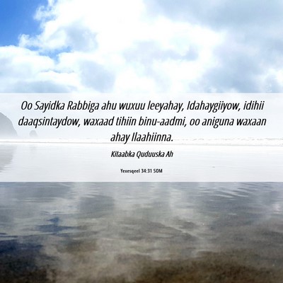 Picture 06 - Yexesqeel 34:31 SOM - Oo Sayidka Rabbiga ahu wuxuu leeyahay, - Bible Verse Picture