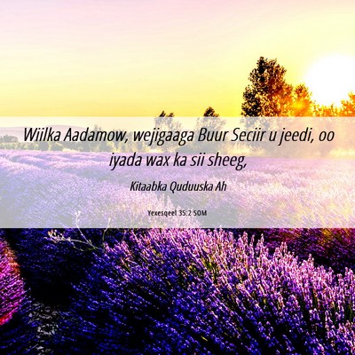 Picture 06 - Yexesqeel 35:2 SOM - Wiilka Aadamow, wejigaaga Buur Seciir u jeedi, oo - Bible Verse Picture