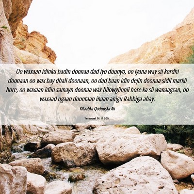 Picture 06 - Yexesqeel 36:11 SOM - Oo waxaan idinku badin doonaa dad iyo duunyo, oo - Bible Verse Picture