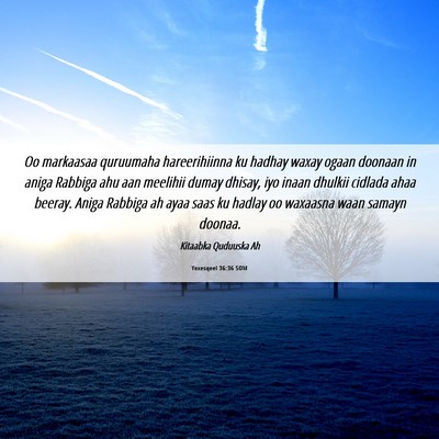 Picture 06 - Yexesqeel 36:36 SOM - Oo markaasaa quruumaha hareerihiinna ku hadhay - Bible Verse Picture