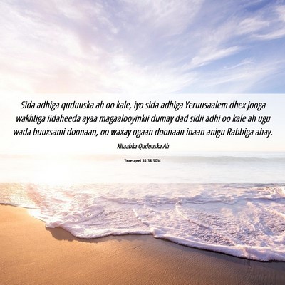 Picture 06 - Yexesqeel 36:38 SOM - Sida adhiga quduuska ah oo kale, iyo sida adhiga - Bible Verse Picture