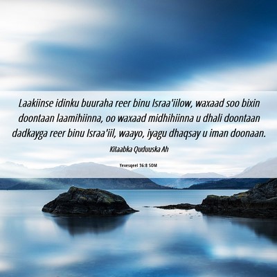 Picture 06 - Yexesqeel 36:8 SOM - Laakiinse idinku buuraha reer binu Israa'iilow, - Bible Verse Picture