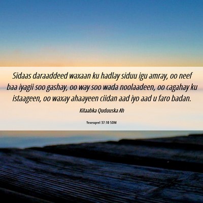 Picture 06 - Yexesqeel 37:10 SOM - Sidaas daraaddeed waxaan ku hadlay siduu igu - Bible Verse Picture