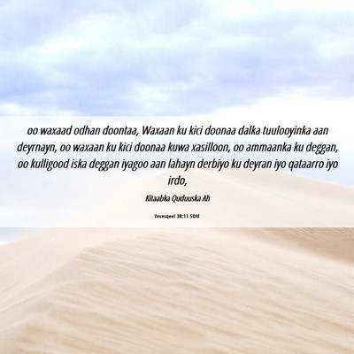 Picture 06 - Yexesqeel 38:11 SOM - oo waxaad odhan doontaa, Waxaan ku kici doonaa - Bible Verse Picture