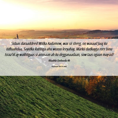 Picture 06 - Yexesqeel 38:14 SOM - Sidaas daraaddeed Wiilka Aadamow, wax sii sheeg, - Bible Verse Picture