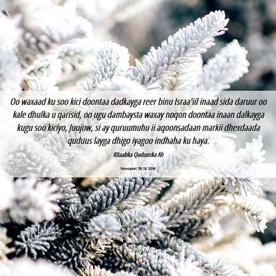 Picture 06 - Yexesqeel 38:16 SOM - Oo waxaad ku soo kici doontaa dadkayga reer binu - Bible Verse Picture