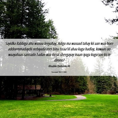 Picture 06 - Yexesqeel 38:17 SOM - Sayidka Rabbiga ahu wuxuu leeyahay, Adigu ma - Bible Verse Picture
