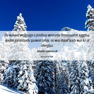 Picture 06 - Yexesqeel 4:7 SOM - Oo waxaad wejigaaga u jeedisaa weerarka - Bible Verse Picture