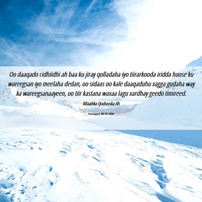 Picture 06 - Yexesqeel 40:16 SOM - Oo daaqado cidhiidhi ah baa ku jiray qolladaha - Bible Verse Picture