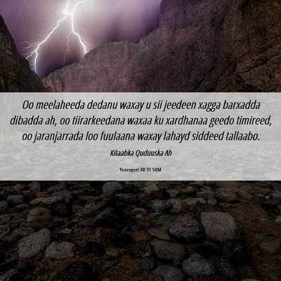 Picture 06 - Yexesqeel 40:31 SOM - Oo meelaheeda dedanu waxay u sii jeedeen xagga - Bible Verse Picture