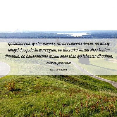 Picture 06 - Yexesqeel 40:36 SOM - qolladaheeda, iyo tiirarkeeda, iyo meelaheeda - Bible Verse Picture