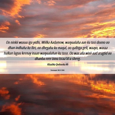 Picture 06 - Yexesqeel 40:4 SOM - Oo ninkii wuxuu igu yidhi, Wiilka Aadamow, - Bible Verse Picture