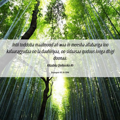 Picture 06 - Yexesqeel 43:26 SOM - Intii toddoba maalmood ah waa in meesha - Bible Verse Picture