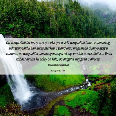 Picture 06 - Yexesqeel 43:3 SOM - Oo waxyaalihii lay tusay waxay u ekaayeen sidii - Bible Verse Picture