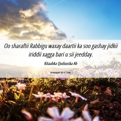 Picture 06 - Yexesqeel 43:4 SOM - Oo sharaftii Rabbigu waxay daartii ka soo gashay - Bible Verse Picture