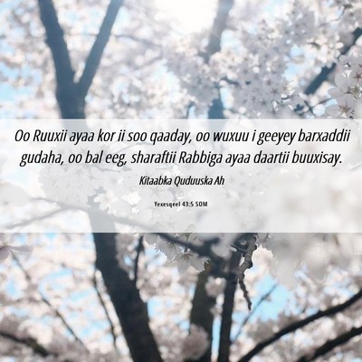 Picture 06 - Yexesqeel 43:5 SOM - Oo Ruuxii ayaa kor ii soo qaaday, oo wuxuu i - Bible Verse Picture