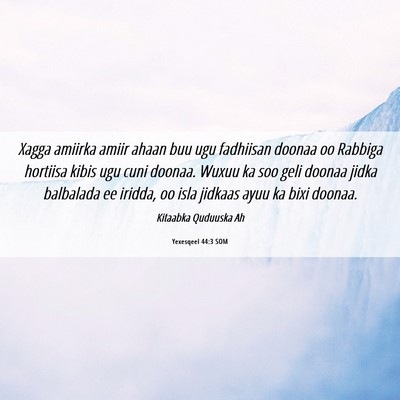 Picture 06 - Yexesqeel 44:3 SOM - Xagga amiirka amiir ahaan buu ugu fadhiisan - Bible Verse Picture