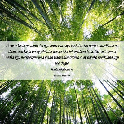 Picture 06 - Yexesqeel 44:30 SOM - Oo wax kasta oo midhaha ugu horreeya cayn - Bible Verse Picture