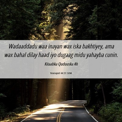 Picture 06 - Yexesqeel 44:31 SOM - Wadaaddadu waa inayan wax iska bakhtiyey, ama wax - Bible Verse Picture
