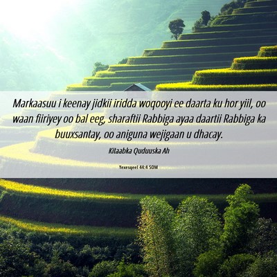 Picture 06 - Yexesqeel 44:4 SOM - Markaasuu i keenay jidkii iridda woqooyi ee - Bible Verse Picture